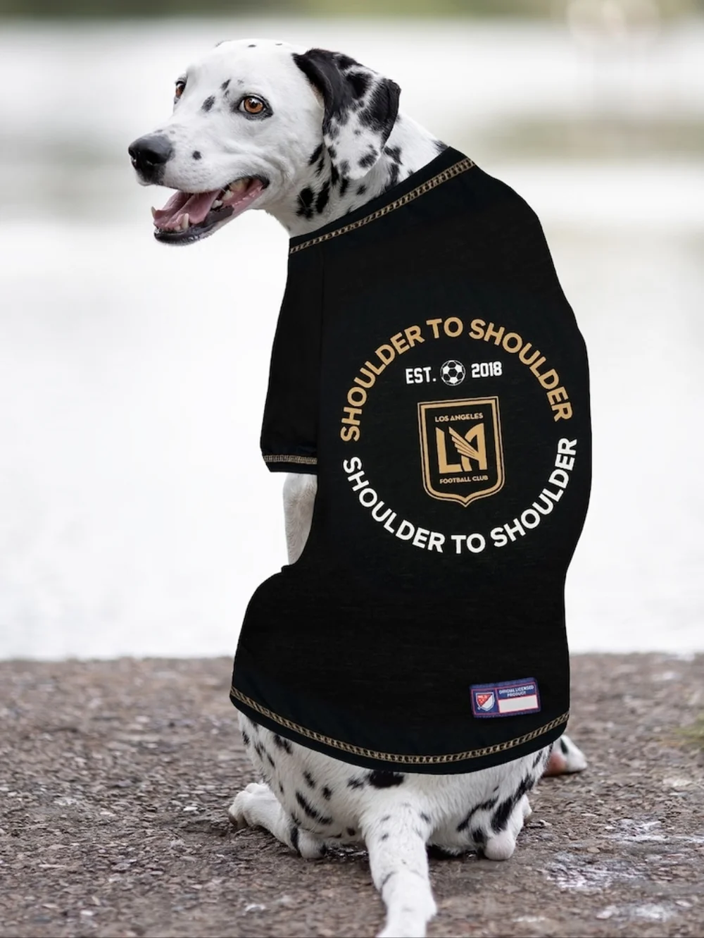 LAFC Black Pet T-Shirt Medium NEW